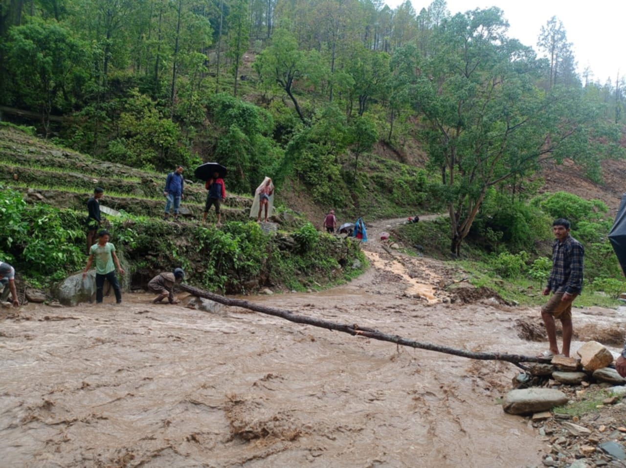 napekhola jajarkot (3).jpg